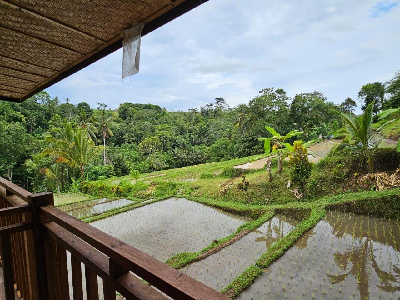 Umauthu Bali Selemadeg Exterior foto